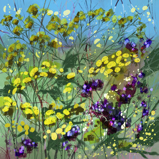 Tansy and Verbena