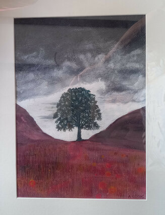 Sycamore II