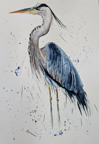Grey Heron