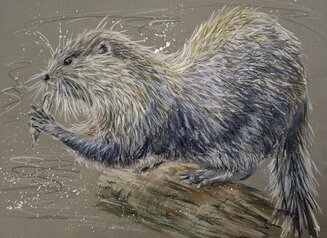 Otter