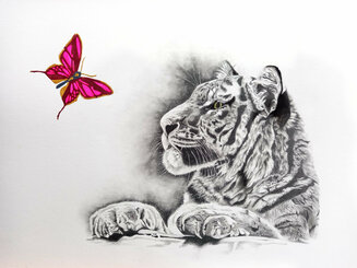 "Pretty" Graphite