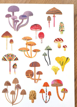 Mushroom Collage