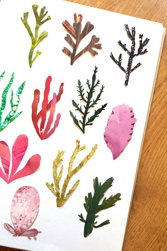 Seaweed Collage
