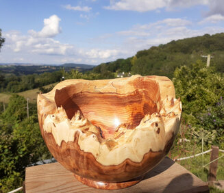 Natural edge bowl