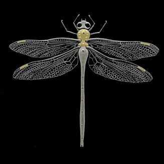 DRAGONFLY