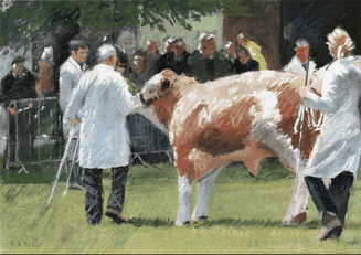 All bull in Malvern