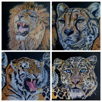 Big cats Colour pencil
