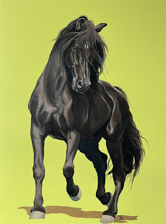 Black Beauty