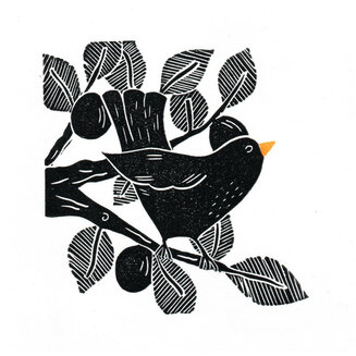 Blackbird