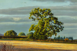 Last of the Autumn sunshine