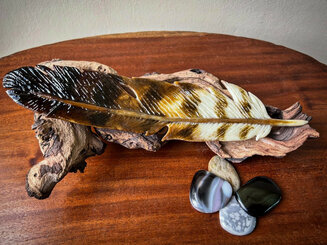 Buzzard Feather with Pebbles - Glass