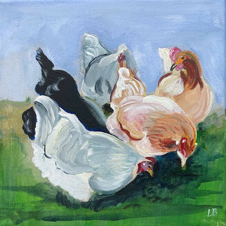 Summer Chickens