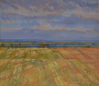 Cotswolds fields, Morning light