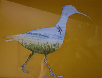 Curlew on beach