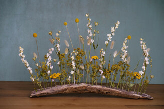 Dried flower meadow on driftwood