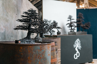 Tree Sculptures in David's countryside workshop