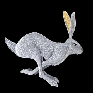 HARE