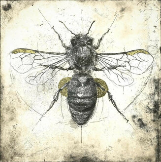 Bee, 2023