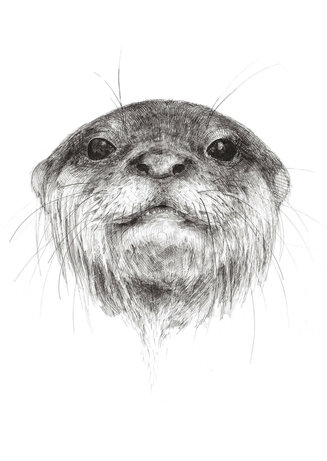 Otter, 2022