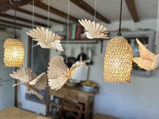 Fan Birds