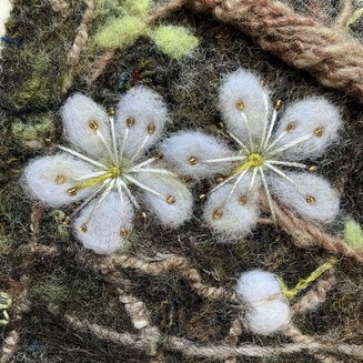 Blackthorn