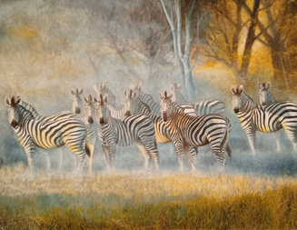 morning mist