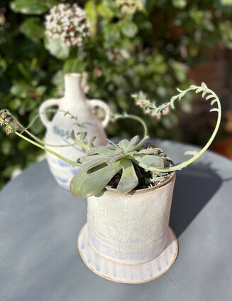 Pot and vase