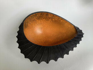 Egg Shell