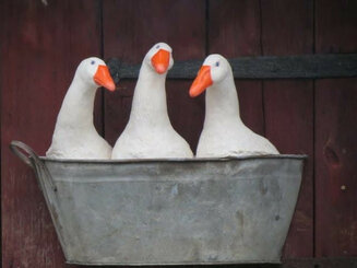 Bath night