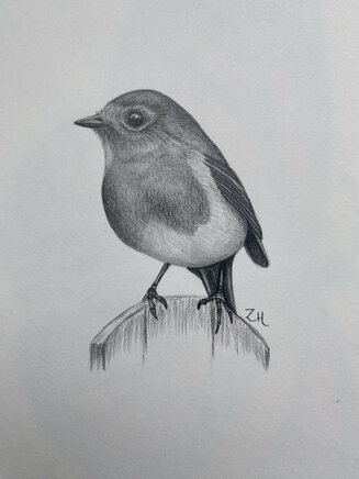 Robin