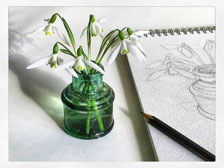 Botanical life drawing
