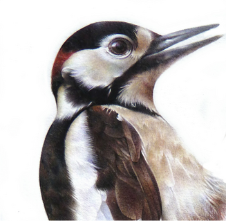In my Garden (detail)