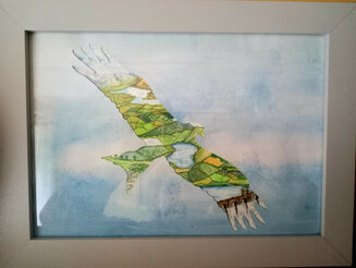 Kite soaring