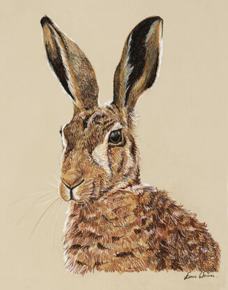 The March hare