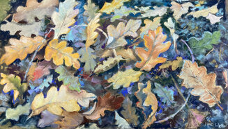 Fallen Oak leaves