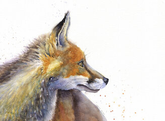 Outfoxed Fox