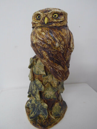 Little Owl