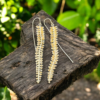 Ferns