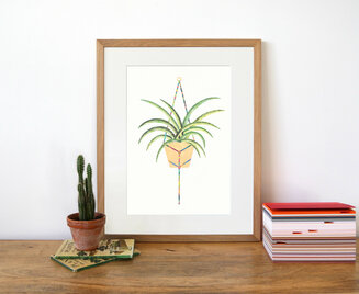 Spider Plant Print
