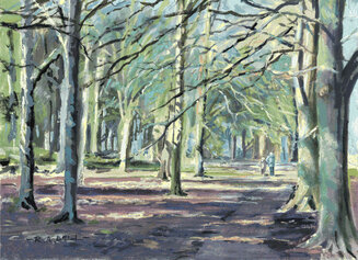 A walk in Queens Wood.