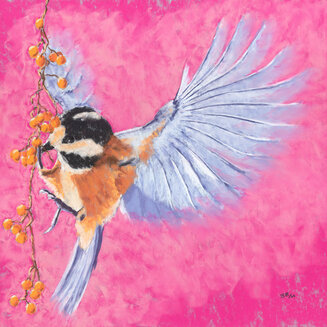 Coaltit on Pink