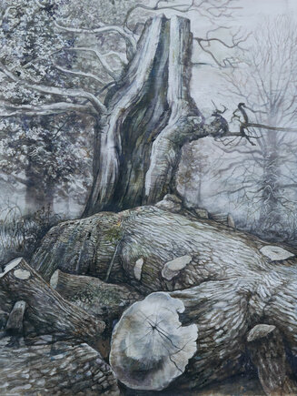 The William Croft Oak