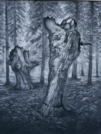 The Sentinels
