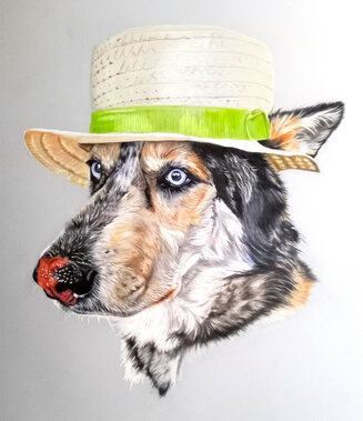 My dog Colour Pencil