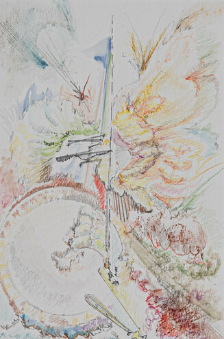 'Structure of the Sacrum'