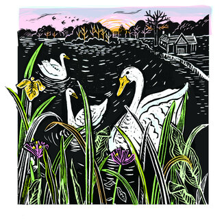 Swans on the Mere