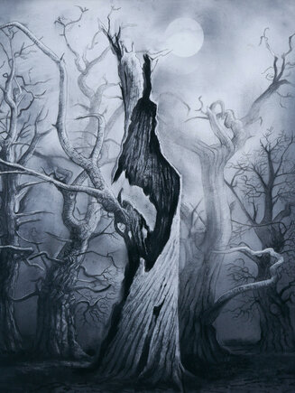 The Lightning Tree
