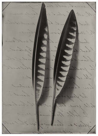Two Feathers
