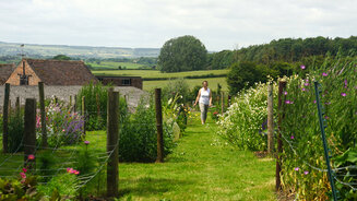 The flower growing beds