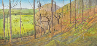 Worsell, April, Beech Glade, Sap Rising